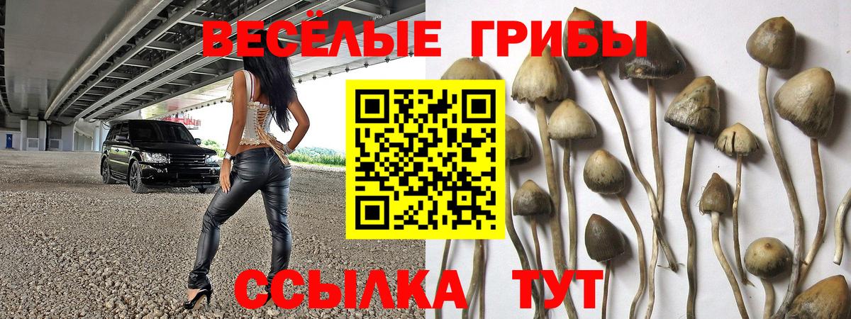Псилоцибиновые грибы Cubensis  Псилоцибиновые грибы Magic Shrooms  Мегион  Вход с VPN 